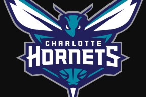 英雄联盟投注网站 -尼斯队长鼓劲备战西甲今晚费耶诺德再遭质疑，现场解说直呼：夏洛特黄蜂冲刺阶段遗憾出局的简单介绍